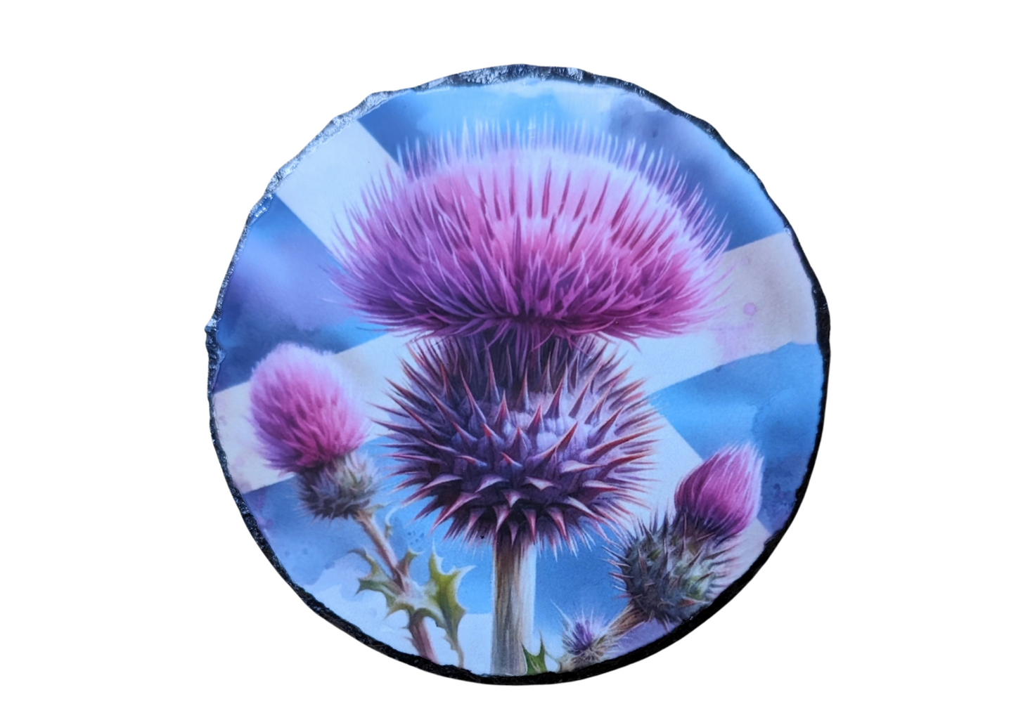 Thistle Slate Coaster