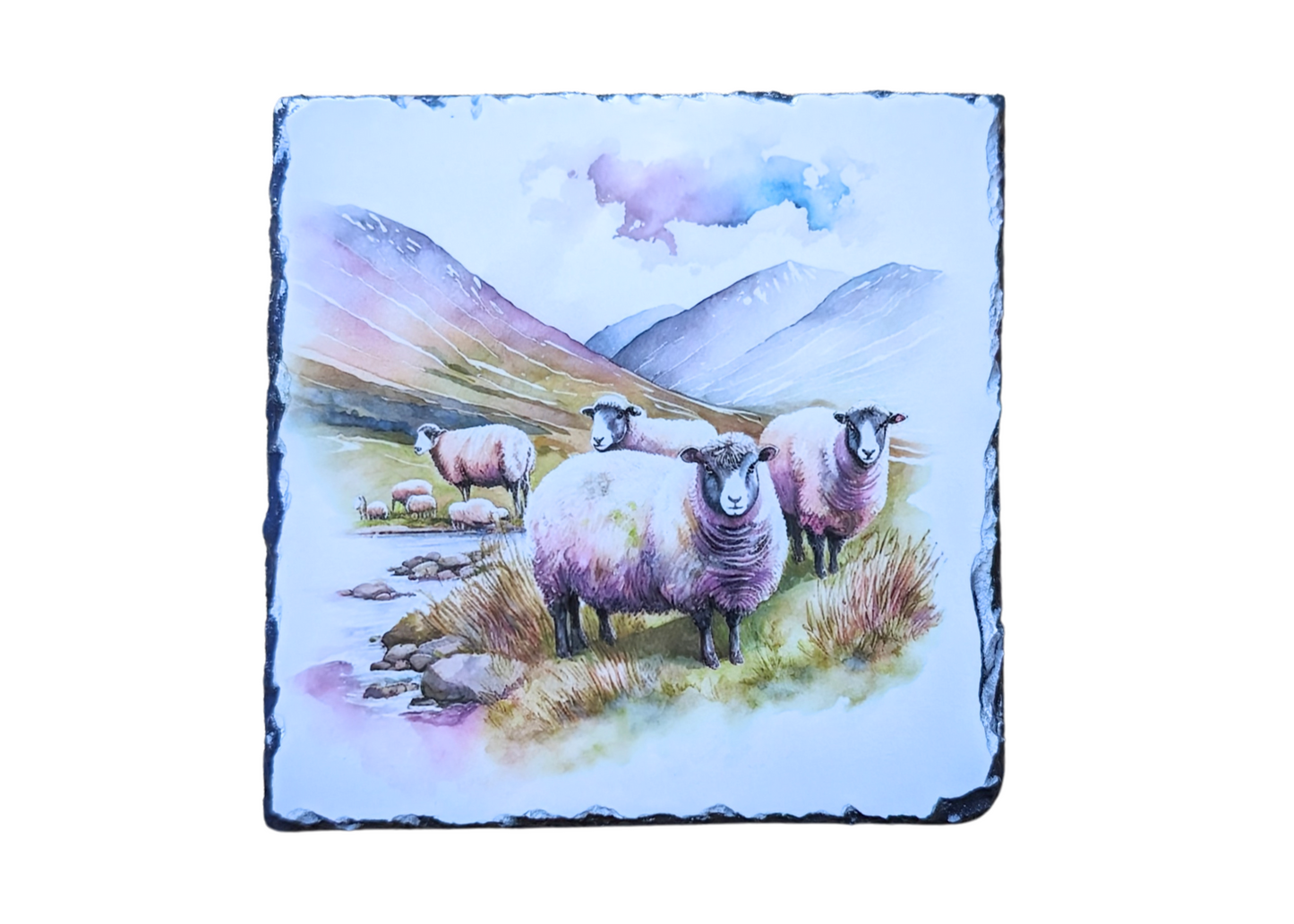 Watercolour Sheep Slate Art