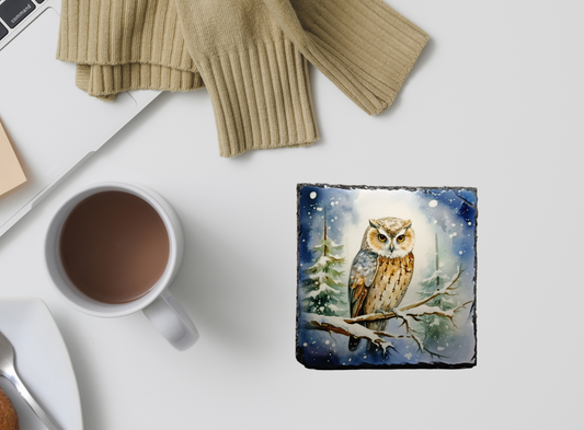 Blue Owl Slate Coaster