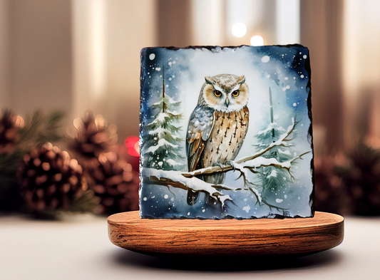 Blue Owl Square Slate Art