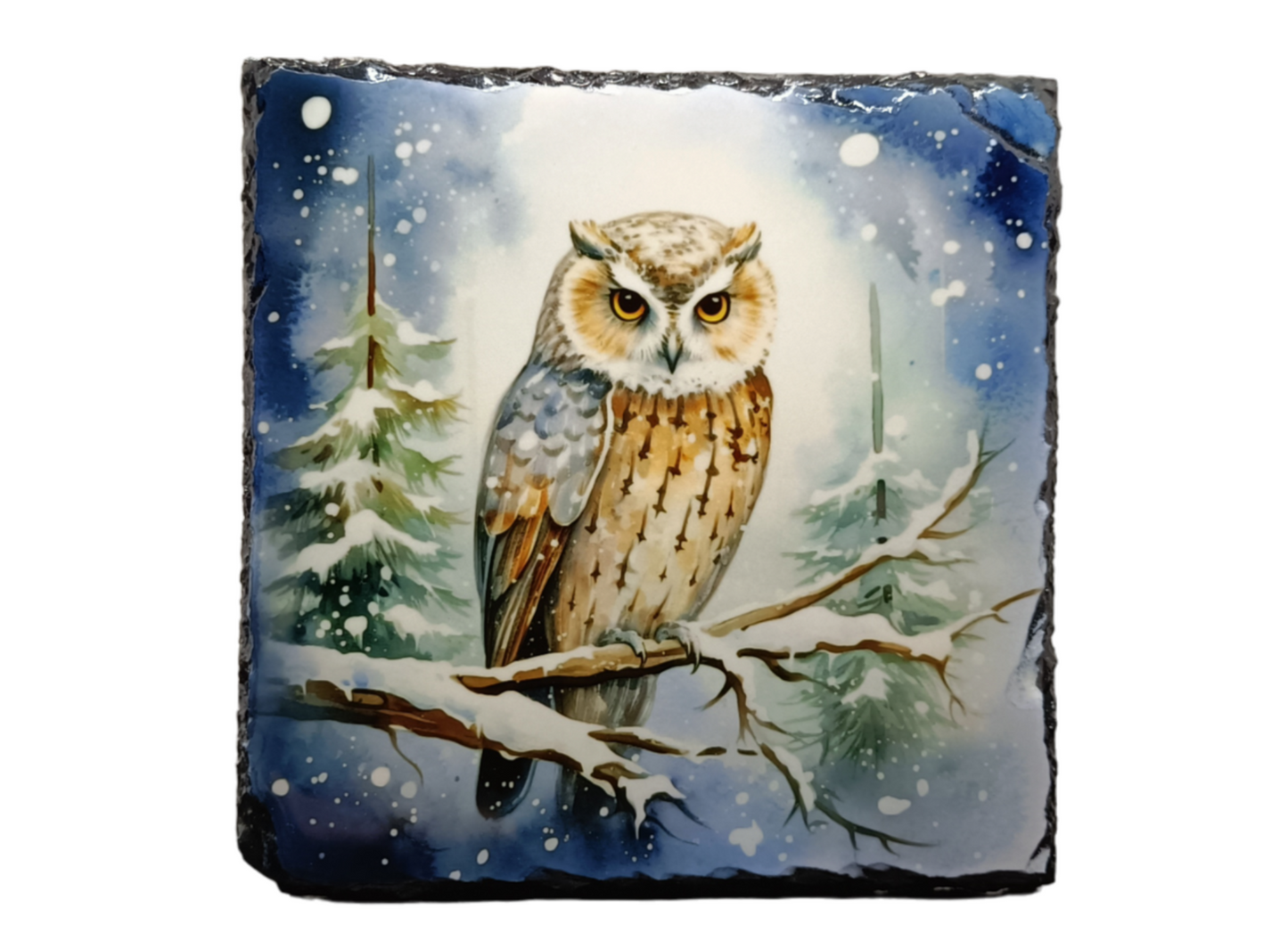 Blue Owl Slate Coaster